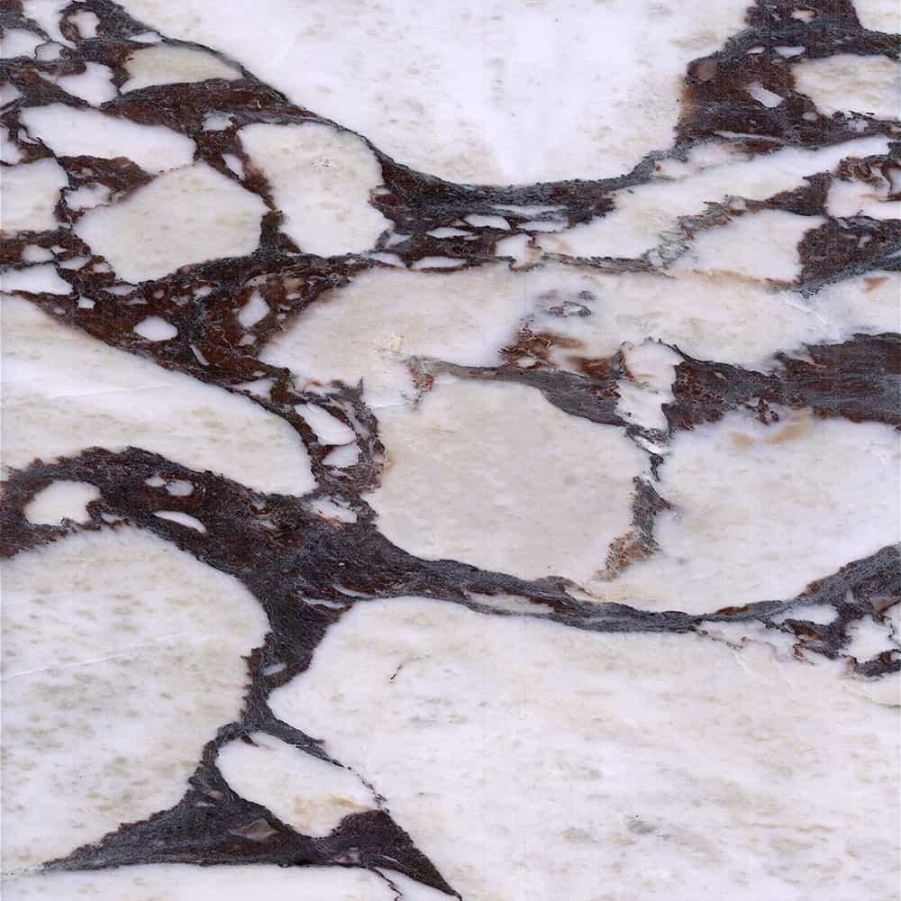 Calacatta Viola stone texture